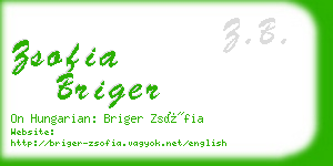 zsofia briger business card